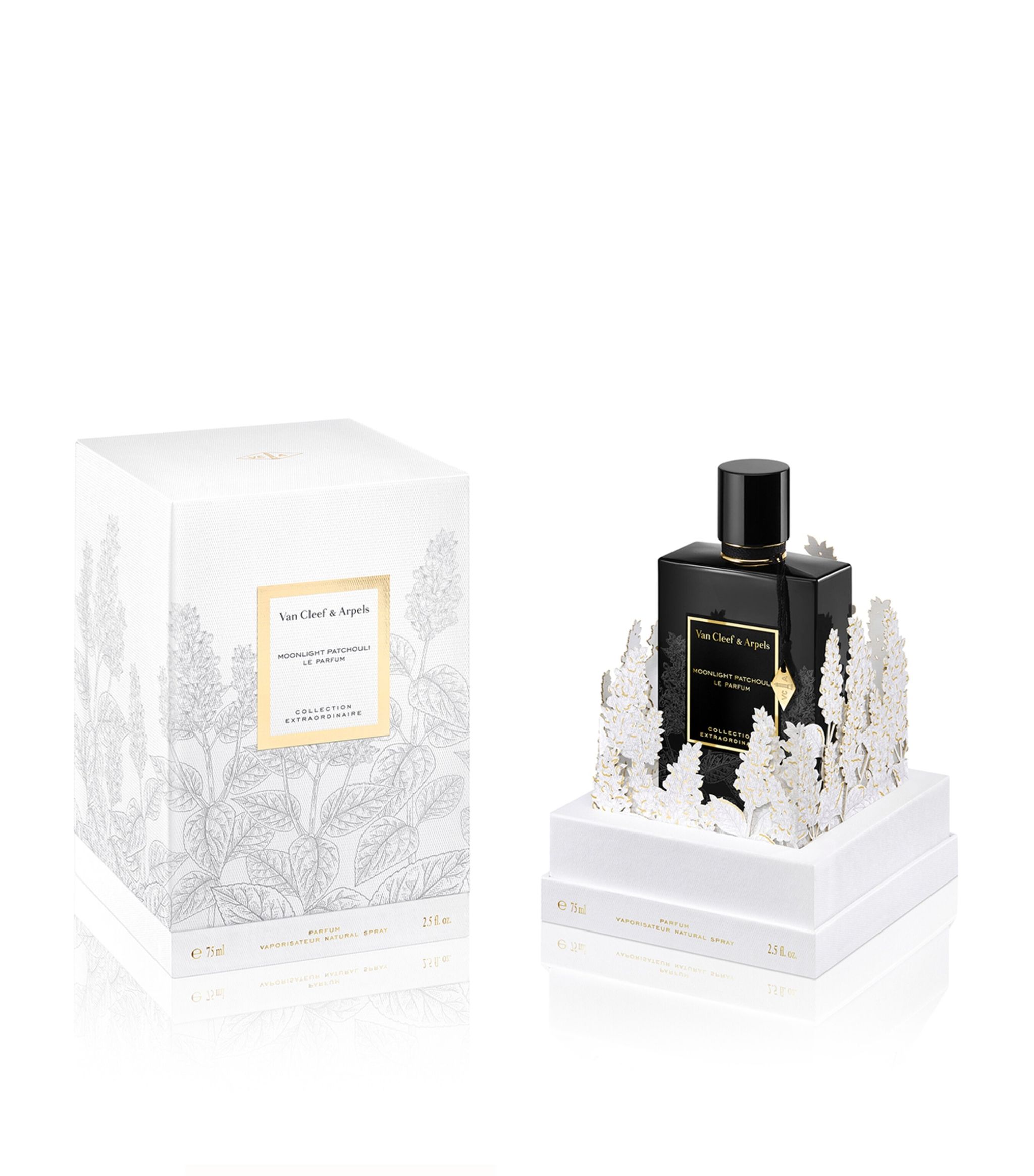 Moonligth Patchouli Le Parfum