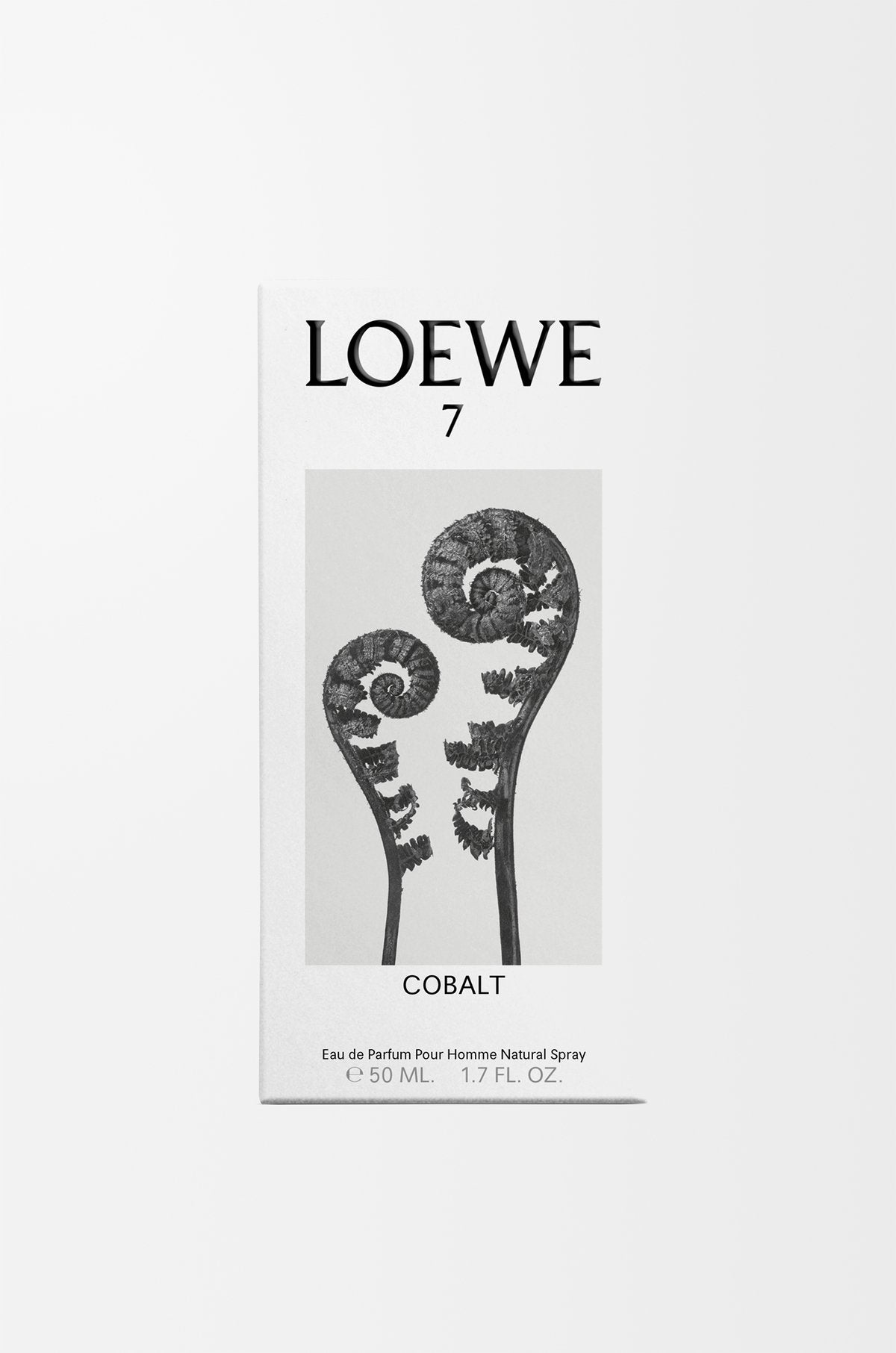 Loewe Siete